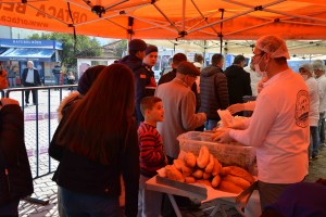 "KEFAL DALYAN'DA YENİR" SLOGANIYLA TONLARCA EKMEK ARASI KEFAL DAĞITILDI DALYAN KEFAL BALIĞI FESTİVALİ RENKLİ GÖRÜNTÜLERE SAHNE OLDU